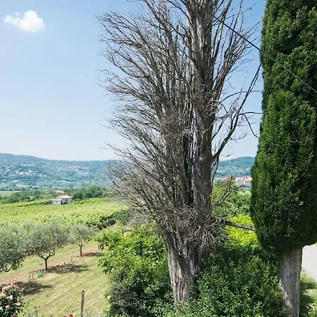 Hébergement de vacances 2-bedroom Istrian House With Terrace *