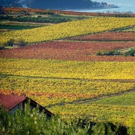 2-bedroom Istrian House With Terrace * Koper