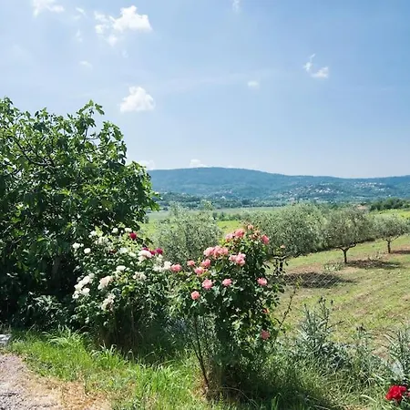 Hébergement de vacances 2-bedroom Istrian House With Terrace